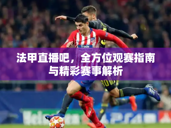 法甲直播吧，全方位观赛指南与精彩赛事解析