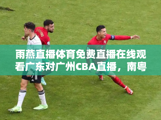 雨燕直播体育免费直播在线观看广东对广州CBA直播，南粤德比的火花与传承