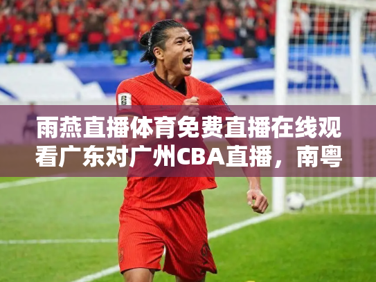 雨燕直播体育免费直播在线观看广东对广州CBA直播，南粤德比的火花与传承