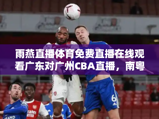 雨燕直播体育免费直播在线观看广东对广州CBA直播，南粤德比的火花与传承
