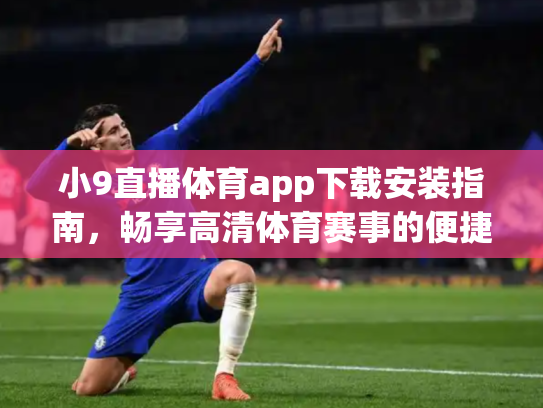 小9直播体育app下载安装指南，畅享高清体育赛事的便捷选择