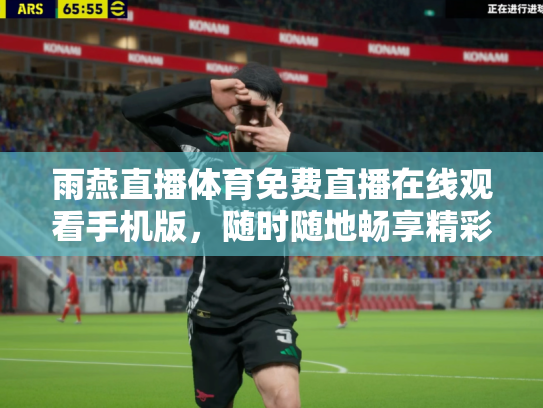 雨燕直播体育免费直播在线观看手机版，随时随地畅享精彩赛事