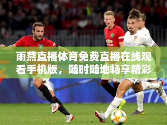 雨燕直播体育免费直播在线观看手机版，随时随地畅享精彩赛事