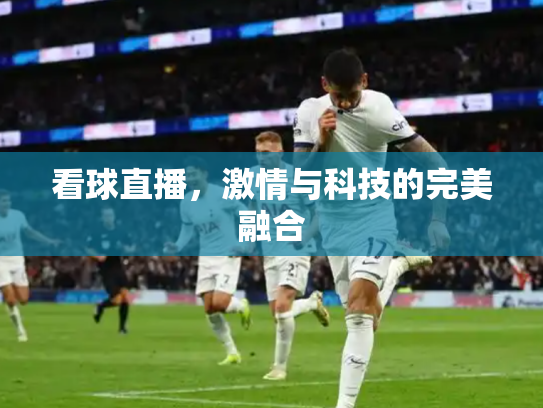 看球直播，激情与科技的完美融合