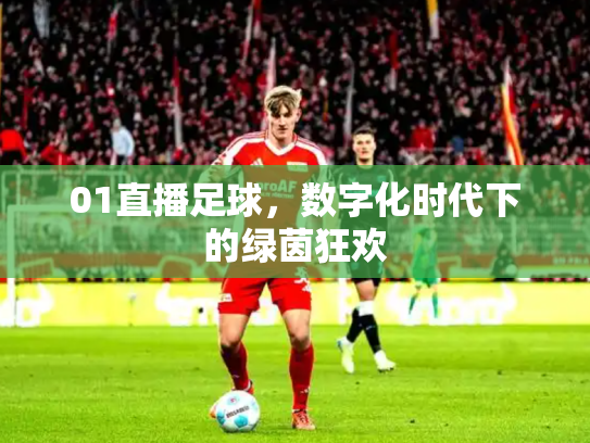 01直播足球，数字化时代下的绿茵狂欢