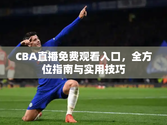 CBA直播免费观看入口，全方位指南与实用技巧