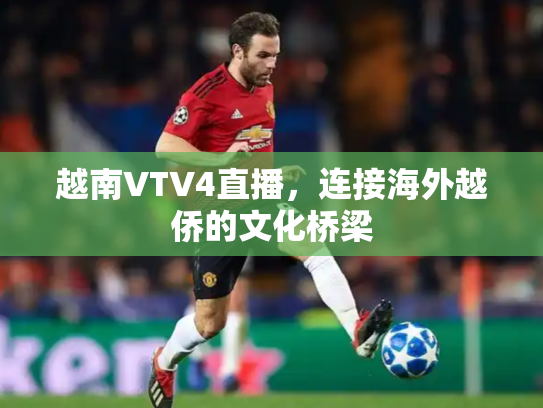 越南VTV4直播，连接海外越侨的文化桥梁