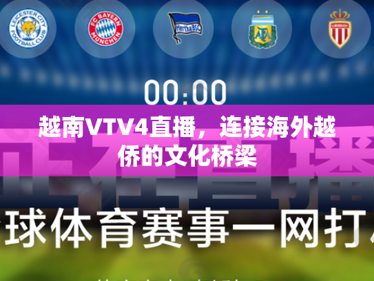 越南VTV4直播，连接海外越侨的文化桥梁