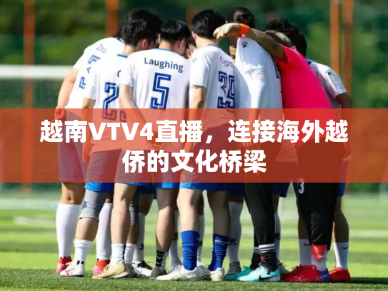 越南VTV4直播，连接海外越侨的文化桥梁