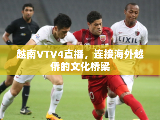 越南VTV4直播，连接海外越侨的文化桥梁