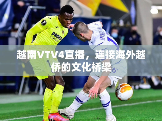 越南VTV4直播，连接海外越侨的文化桥梁