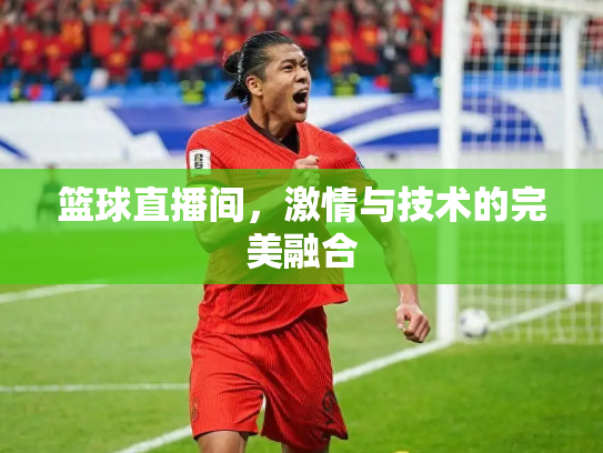 篮球直播间，激情与技术的完美融合