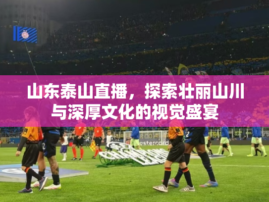 山东泰山直播，探索壮丽山川与深厚文化的视觉盛宴