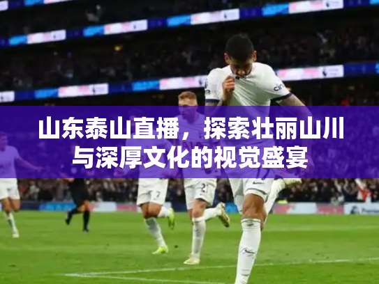 山东泰山直播，探索壮丽山川与深厚文化的视觉盛宴