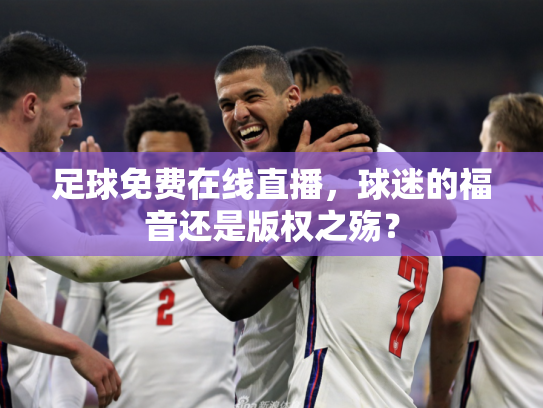 足球免费在线直播，球迷的福音还是版权之殇？