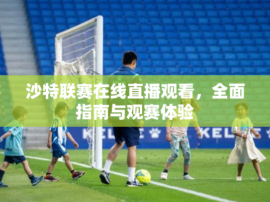 沙特联赛在线直播观看，全面指南与观赛体验