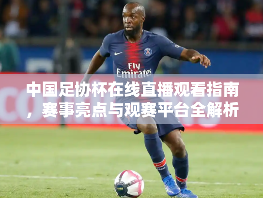 中国足协杯在线直播观看指南，赛事亮点与观赛平台全解析