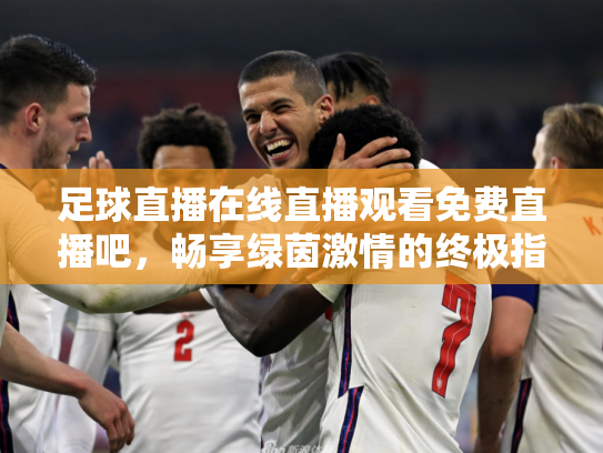 足球直播在线直播观看免费直播吧，畅享绿茵激情的终极指南