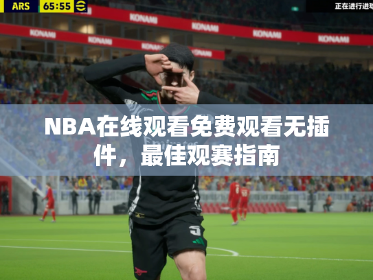 NBA在线观看免费观看无插件，最佳观赛指南