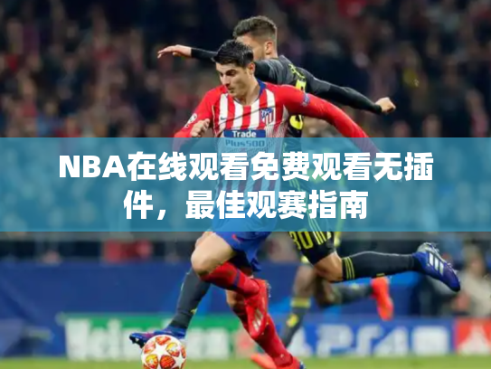 NBA在线观看免费观看无插件，最佳观赛指南