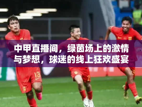中甲直播间，绿茵场上的激情与梦想，球迷的线上狂欢盛宴