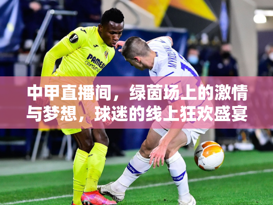 中甲直播间，绿茵场上的激情与梦想，球迷的线上狂欢盛宴