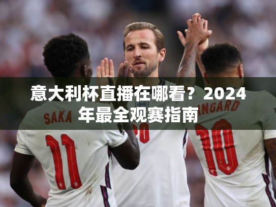 意大利杯直播在哪看？2024年最全观赛指南