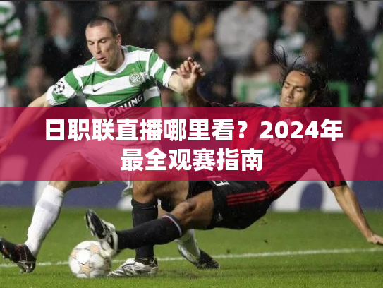 日职联直播哪里看？2024年最全观赛指南