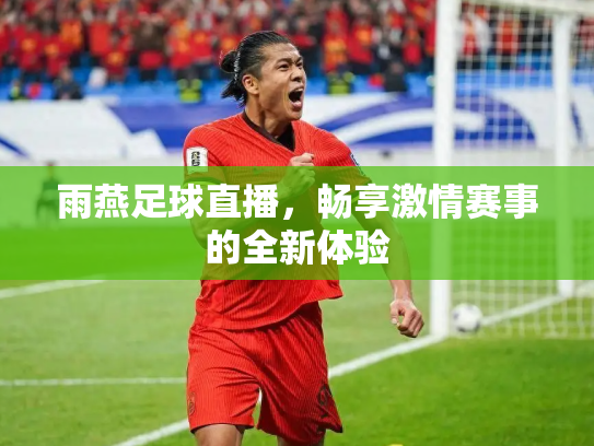 雨燕足球直播，畅享激情赛事的全新体验