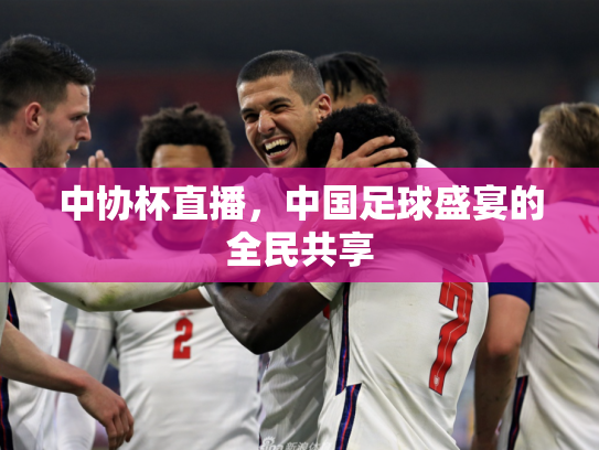 中协杯直播，中国足球盛宴的全民共享