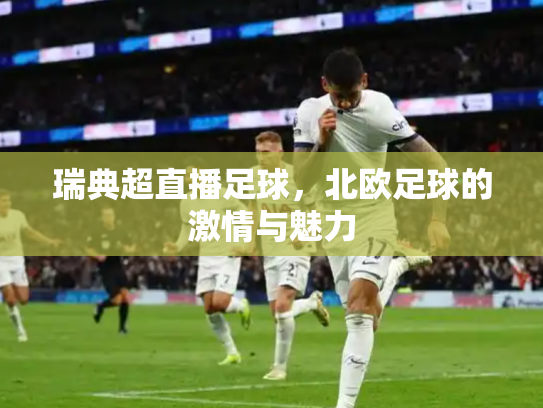 瑞典超直播足球，北欧足球的激情与魅力