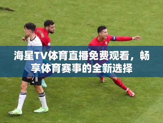 海星TV体育直播免费观看，畅享体育赛事的全新选择