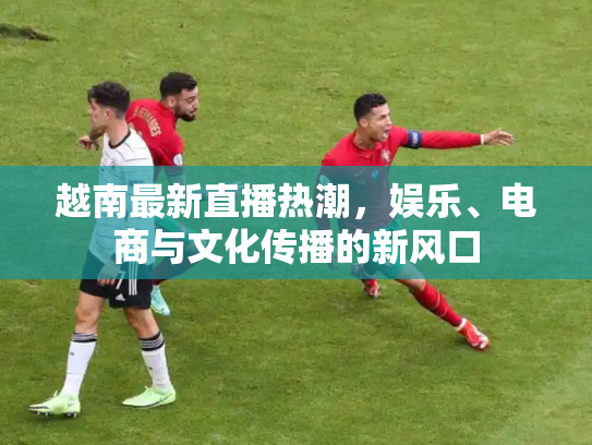 越南最新直播热潮，娱乐、电商与文化传播的新风口