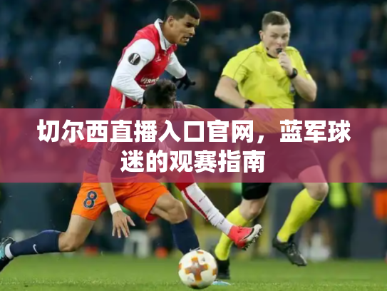切尔西直播入口官网，蓝军球迷的观赛指南