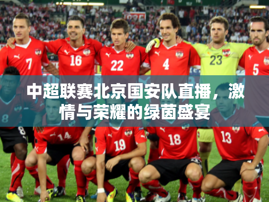 中超联赛北京国安队直播，激情与荣耀的绿茵盛宴