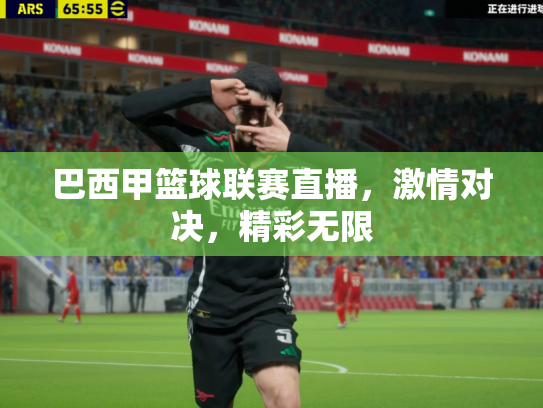 巴西甲篮球联赛直播，激情对决，精彩无限