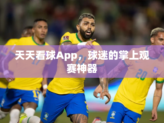 天天看球App，球迷的掌上观赛神器