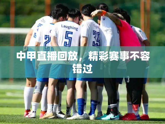 中甲直播回放，精彩赛事不容错过