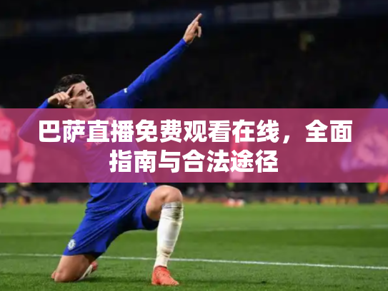 巴萨直播免费观看在线，全面指南与合法途径