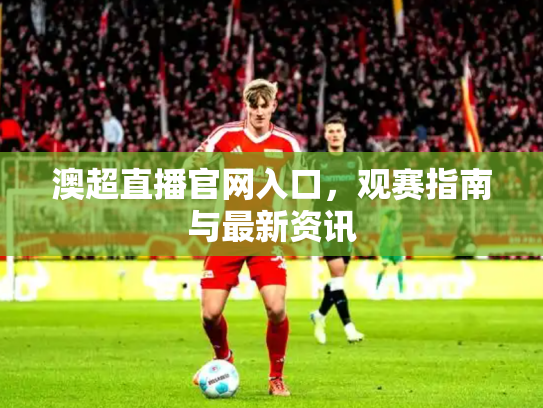 澳超直播官网入口，观赛指南与最新资讯