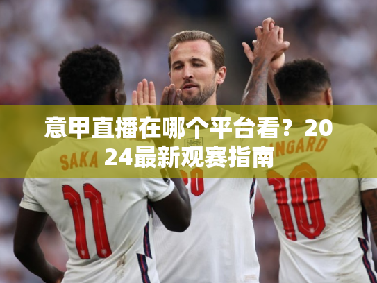 意甲直播在哪个平台看？2024最新观赛指南