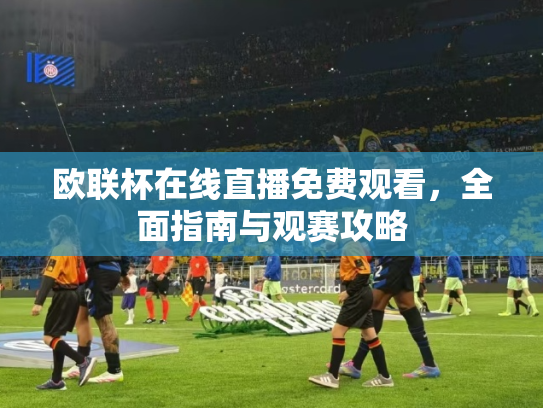 欧联杯在线直播免费观看，全面指南与观赛攻略