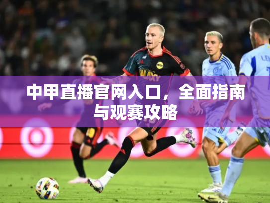 中甲直播官网入口，全面指南与观赛攻略