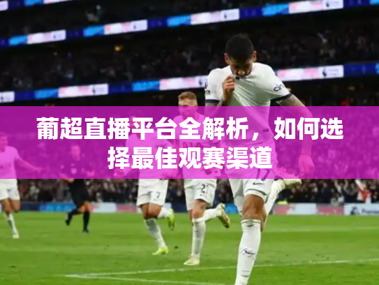 葡超直播平台全解析，如何选择最佳观赛渠道