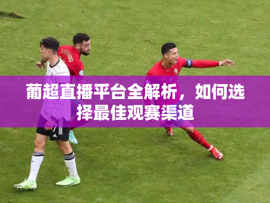 葡超直播平台全解析，如何选择最佳观赛渠道