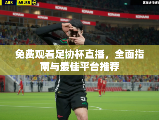 免费观看足协杯直播，全面指南与最佳平台推荐