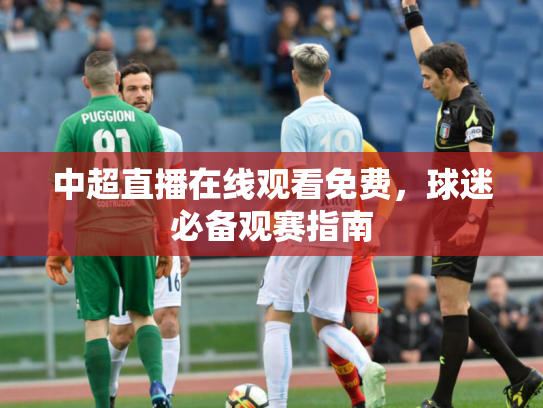 中超直播在线观看免费，球迷必备观赛指南