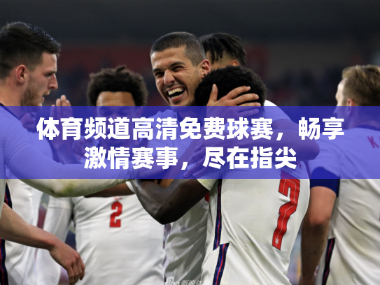 体育频道高清免费球赛，畅享激情赛事，尽在指尖