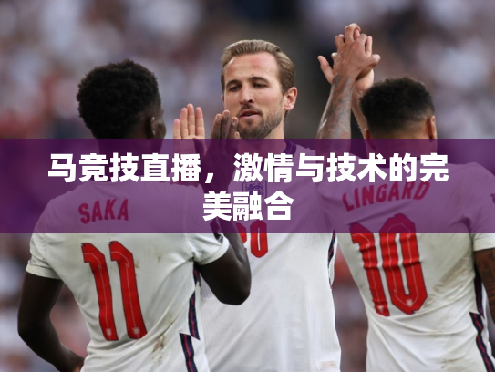 马竞技直播，激情与技术的完美融合