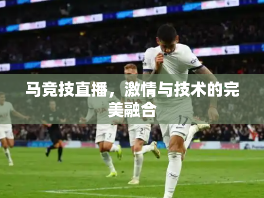 马竞技直播，激情与技术的完美融合